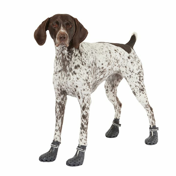 PetSmart Arcadia Trail Dogs' Water Shoes, Large Same-Day Delivery