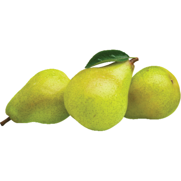 Bartlett Pear