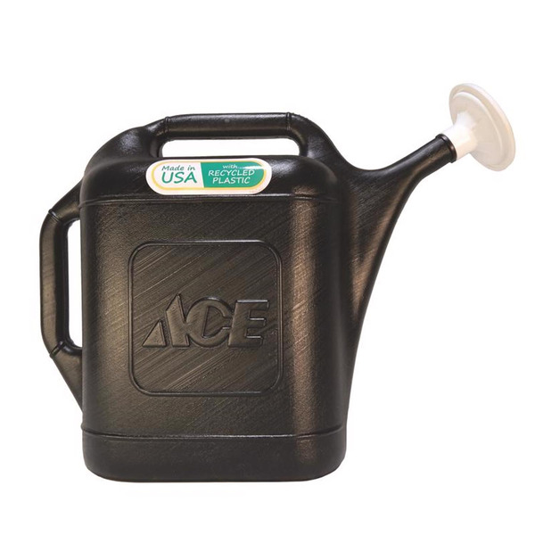 ACE 2 Gallon Watering Can