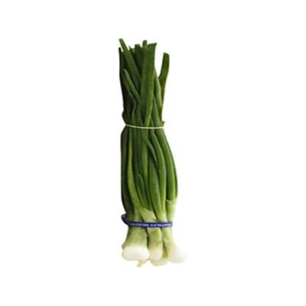 Red Spring Onion