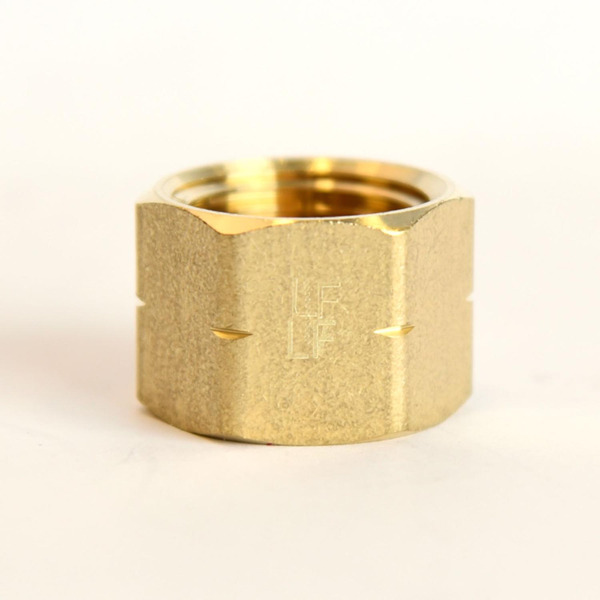 Homeplus+ FPT Pipe Cap, 0.5 Inch