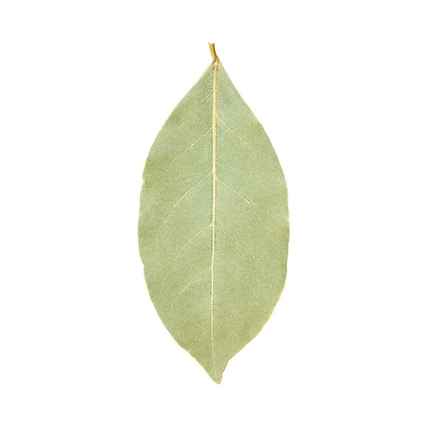 Organic Bay Leaves Package