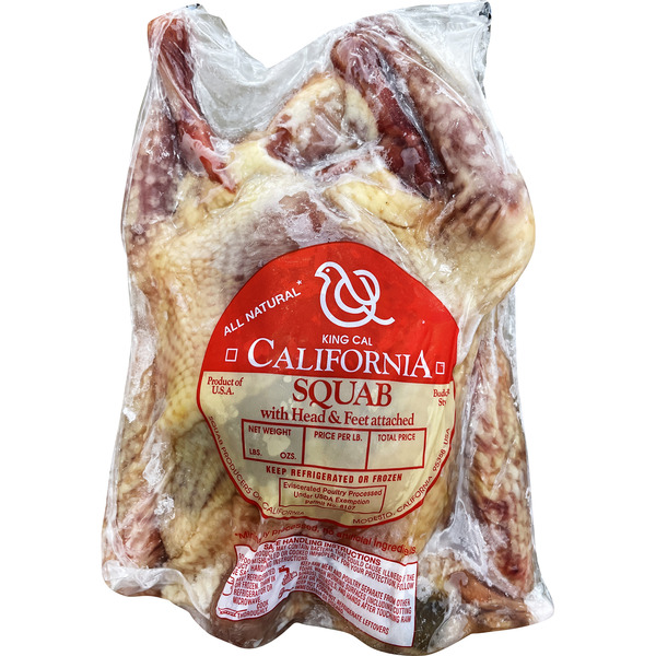 Squab