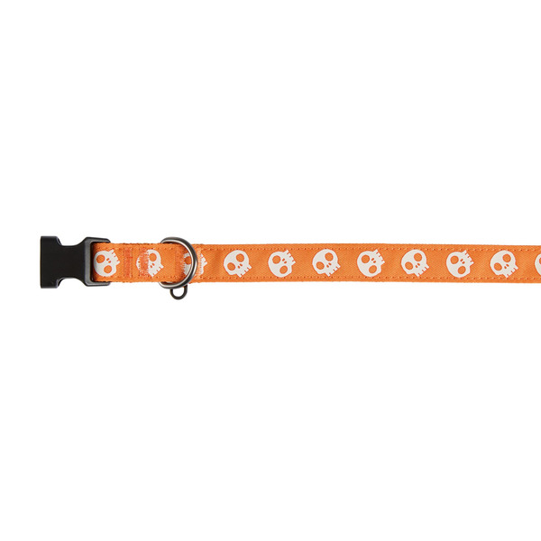 Thrills & Chills Halloween Skull Dog Collar, Medium - Orange