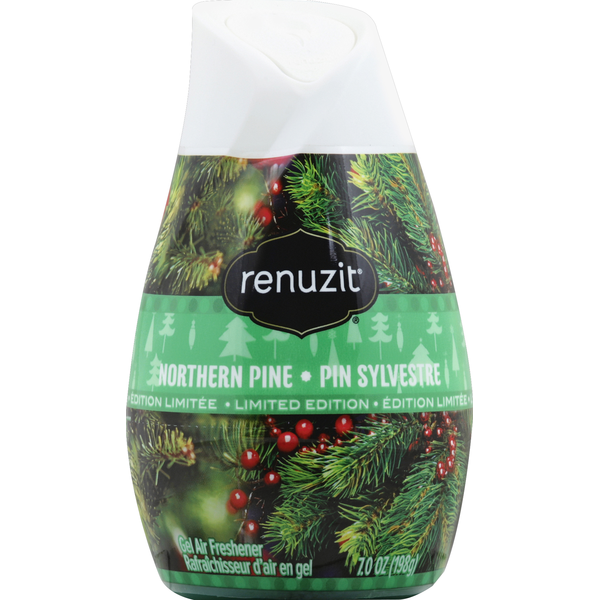 Renuzit Air Freshener, Gel, Northern Pine (7 oz) Instacart