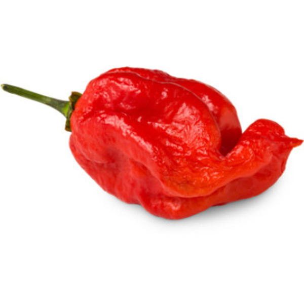 Melissa's Ghost Peppers