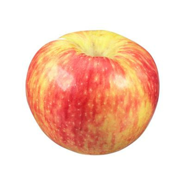 Honeycrisp Apple