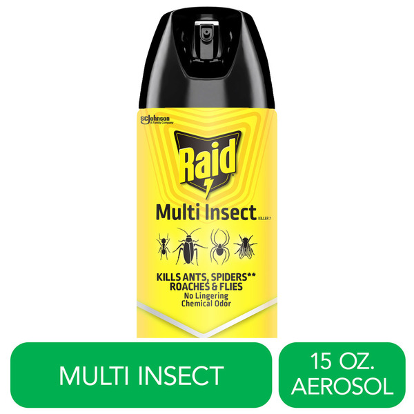 Raid® Multi Insect Killer Insecticide Aerosol Spray Same-Day Delivery or Pickup