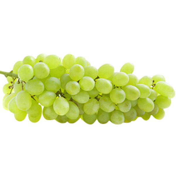 Green Seedless Grapes