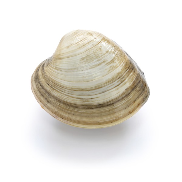 Littleneck Clams (per lb) Instacart