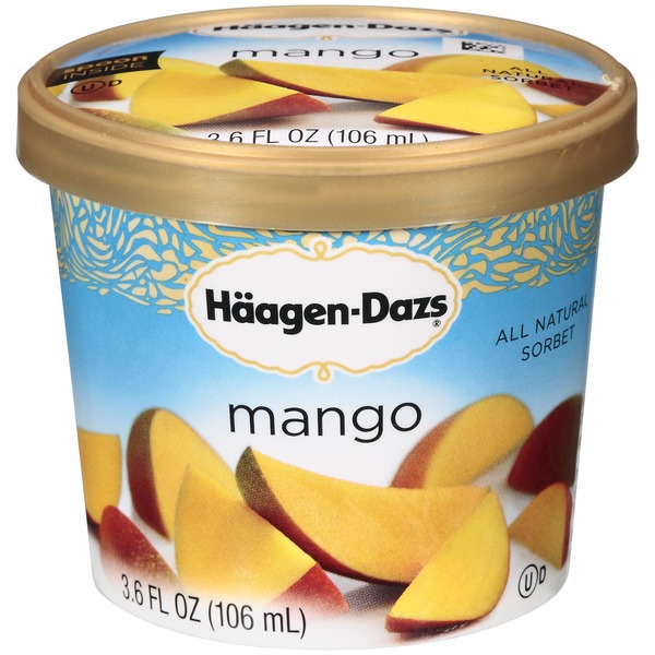HaagenDazs Sorbet (3.6 fl oz) Instacart