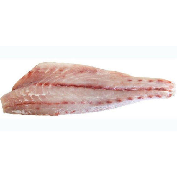 Silver Corvina Fillet