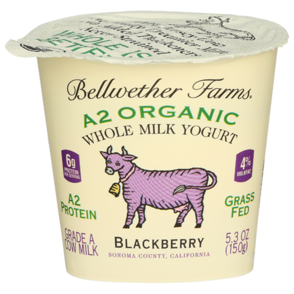 Bellwether Farms Organic A2 Blackberry Whole Milk Yogurt