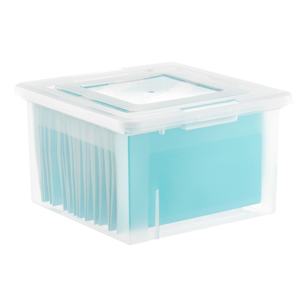 Iris Letter & Legal Clear File Storage Box