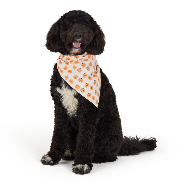 Thrills & Chills Dog Pumpkin Bandana, M/L