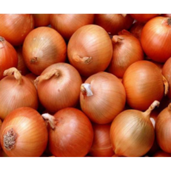 Yellow Onion - 10 lb bag