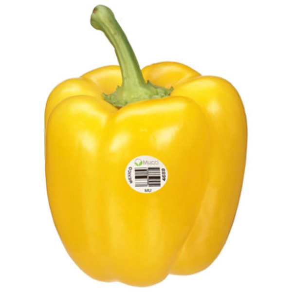 PEPPERS BELL YELLOW HOT HOUSE