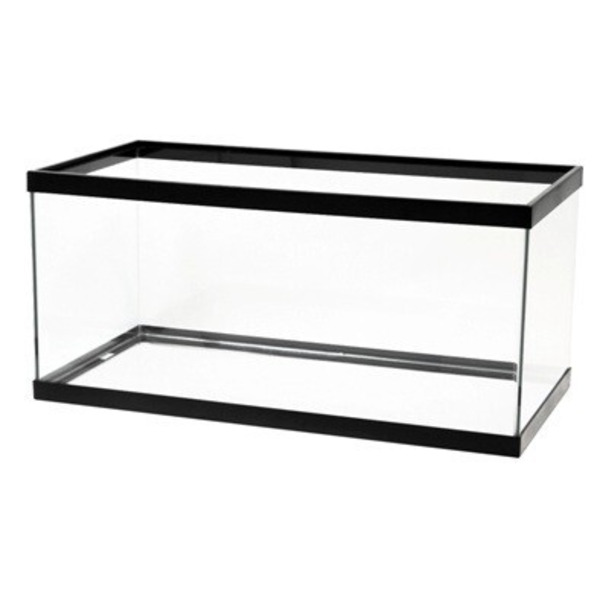 All Glass Aquarium 40 Gallon Black Breeder Tank