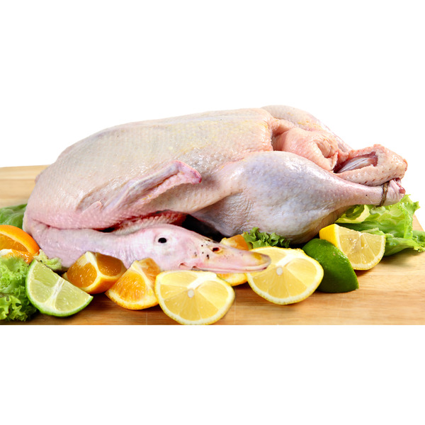 Whole Duck