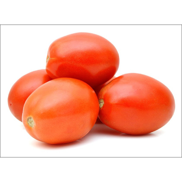 Plum Tomato
