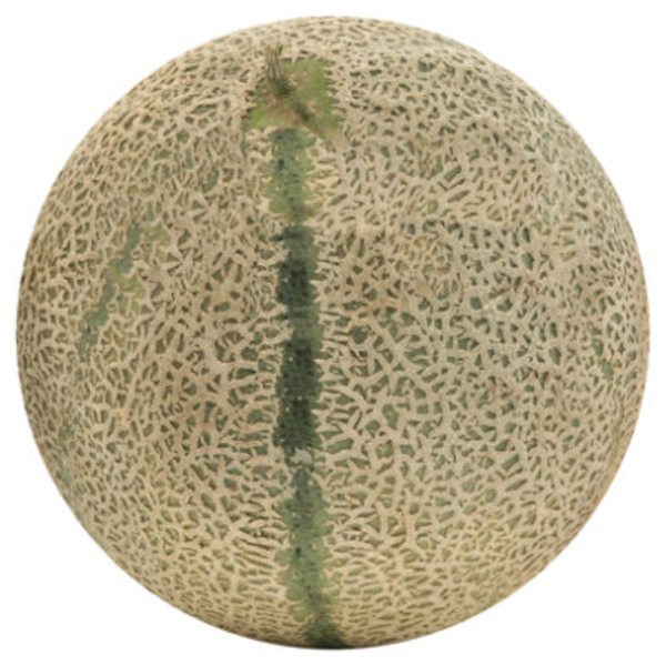 Charentais Melons