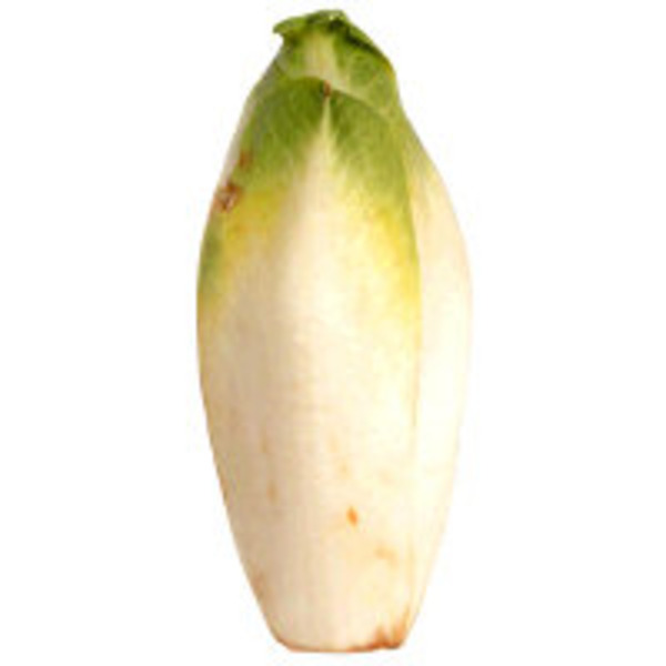 Melissa’s Belgian Endive