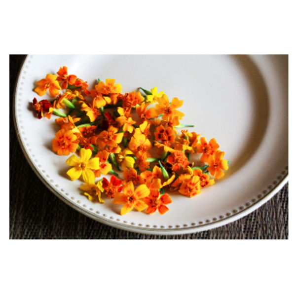 Micro Marigold Flowers