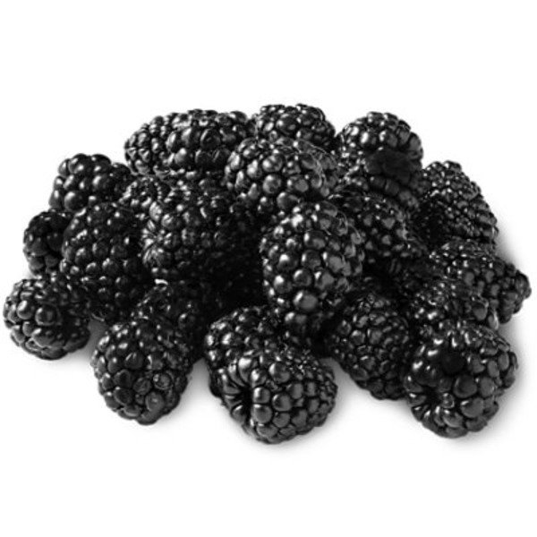 Signature Farms Sweet Karoline BLACKBERRIES