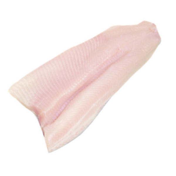 Fresh Steelhead Trout Fillet