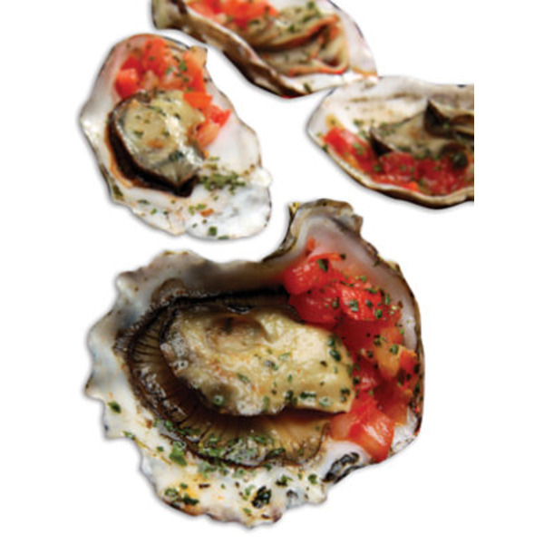 Fresh Oysters