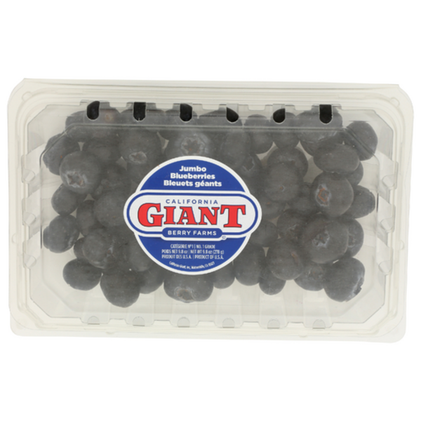 Jumbo Blueberries