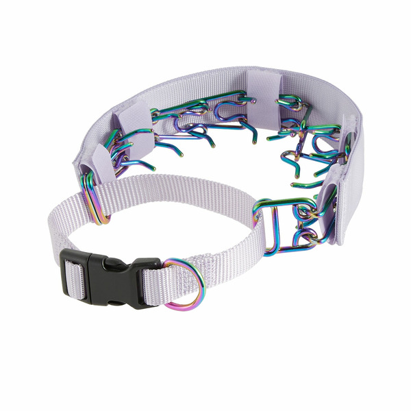 Top Paw Training No-Pull Prong Dog Collar, Medium - Purple