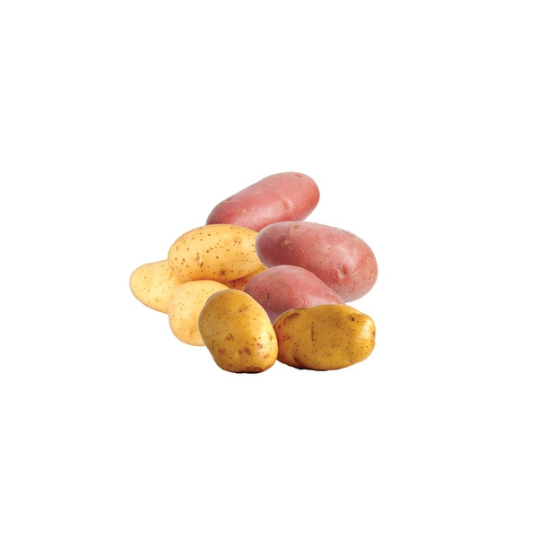 Yukon Gold Casino Oberfläche