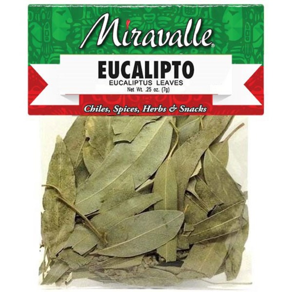 Eucalipto