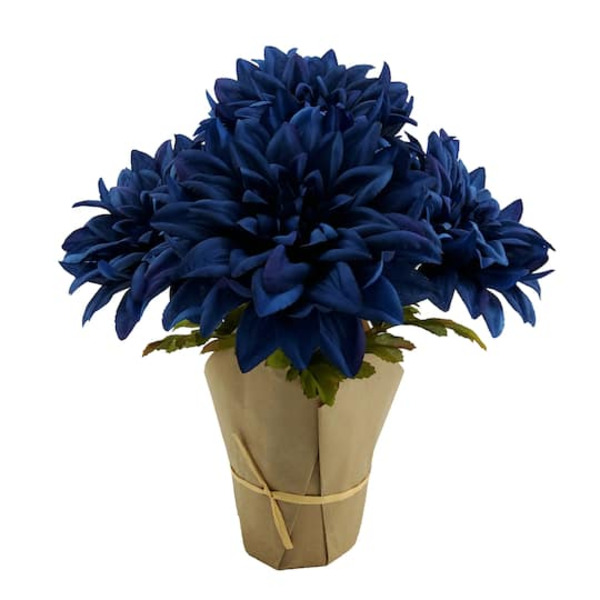 Ashland Potted Dahlia