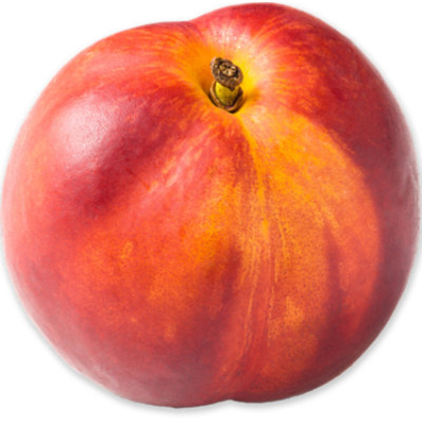 Yellow Nectarine