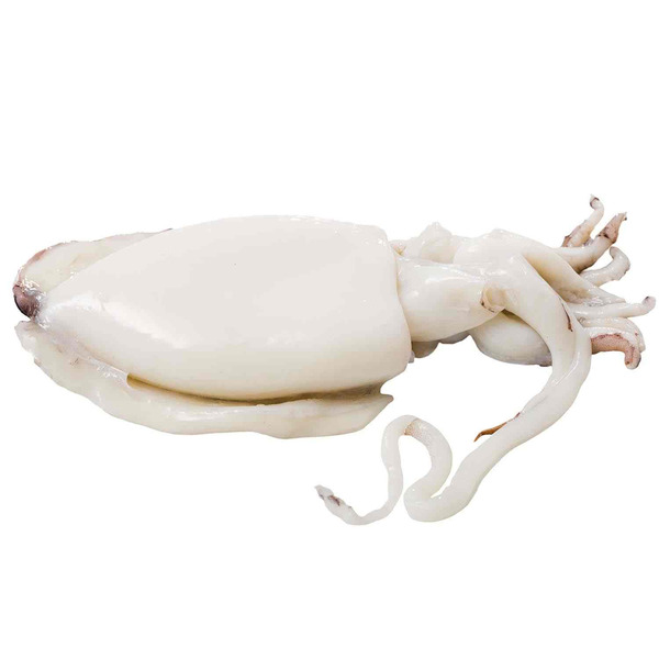 Half Whole Cleaned Cuttlefish