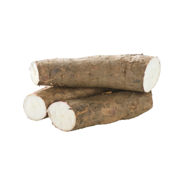 Yuca Root