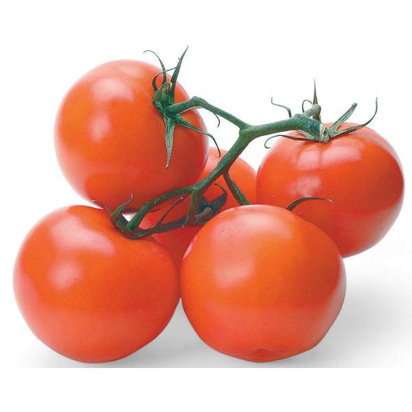 Cluster Tomato
