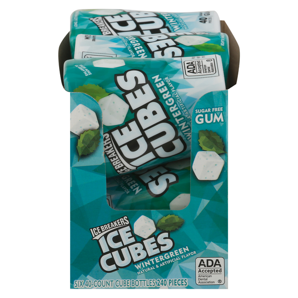 Publix Ice Breakers Wintergreen Sugar Free Chewing Gum SameDay
