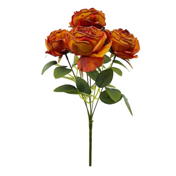 Ashland Rose Bush