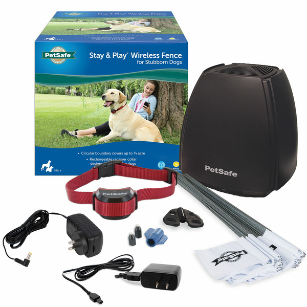 PetSmart PetSafe Stay Play Wireless Fence for Stubborn Dogs Same