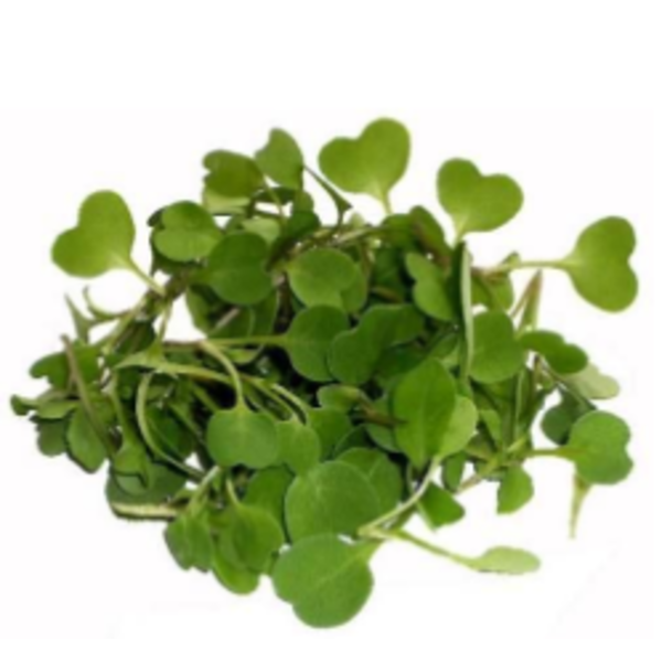 Micro Arugula - 8 oz