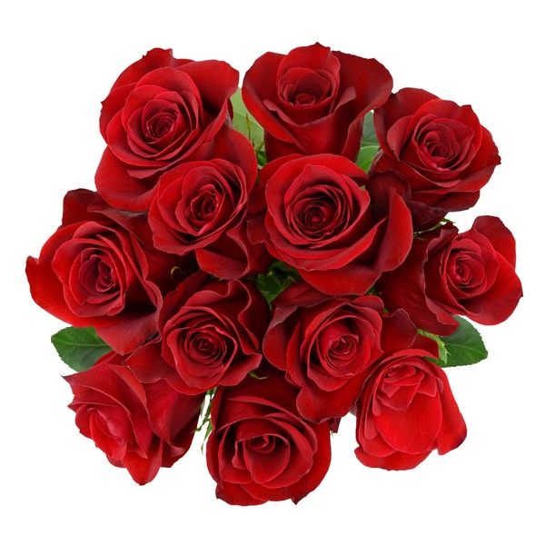 Premium Red Rose Same-Day Delivery or Pickup | Cub