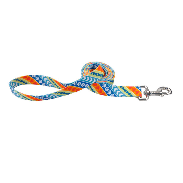 Coastal Pet Pet Leash