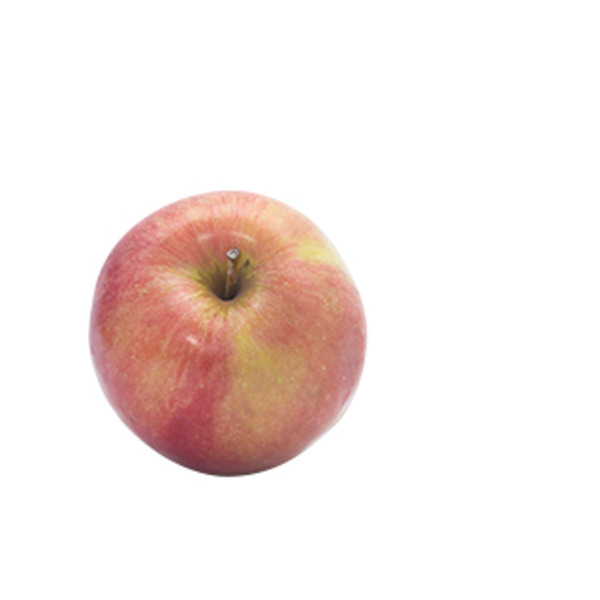 Fuji Apple