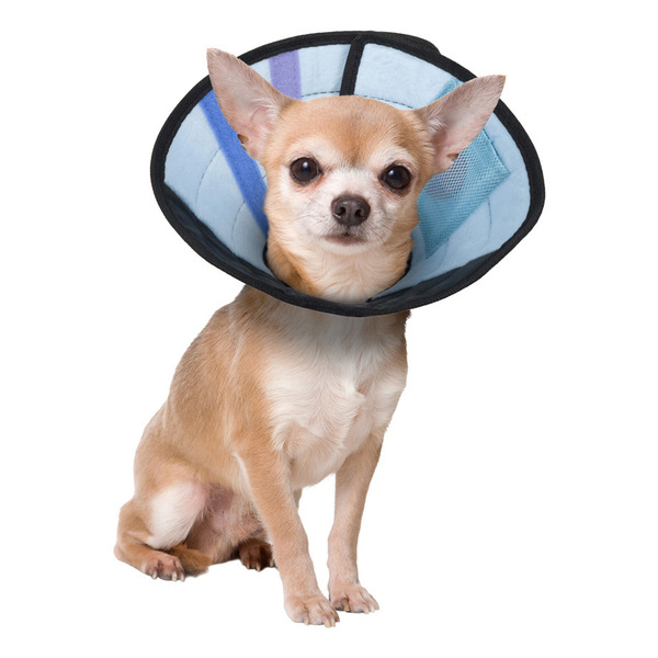 Calm Paws Behavior Support Dog Caring Collar With Calming Disk