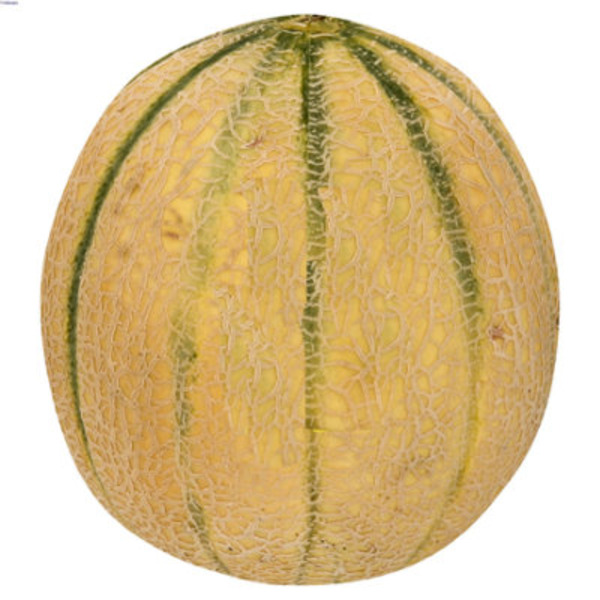 Dulcinea Tuscan Style Cantaloupe
