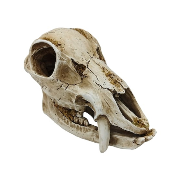 Ashland Animal Skull Tabletop Décor