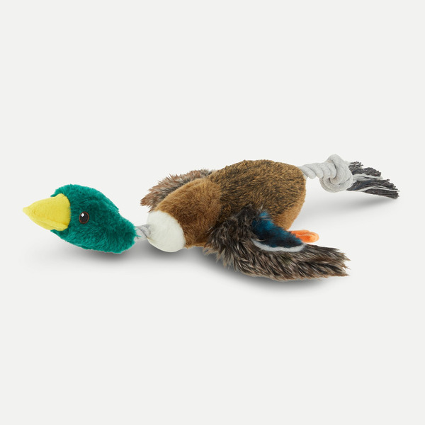 Top Paw Plush Squeaker Realistic Binded Mallard Duck Dog Toy
